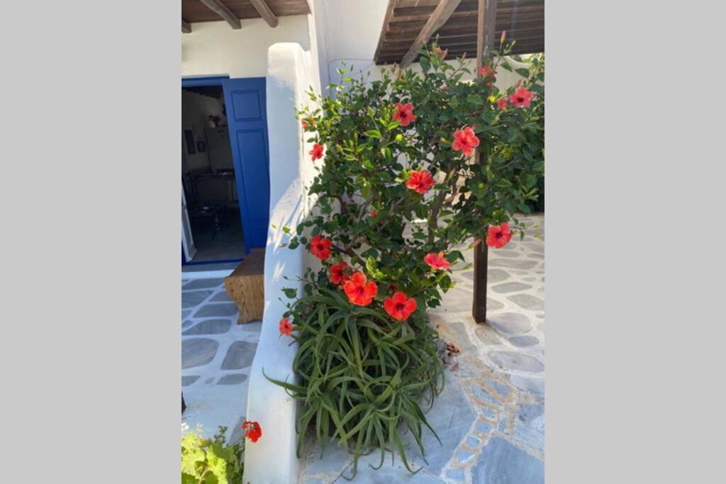 Pigeon House Ornos Beach Mykonos Town Exterior foto